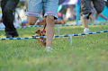 050918_sports_C-1120_thumb.png