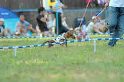 050918_sports_C-1124.jpg
