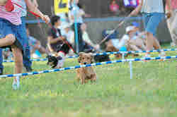050918_sports_C-1127.jpg