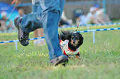 050918_sports_C-1128_thumb.png