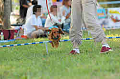 050918_sports_C-1129_thumb.png