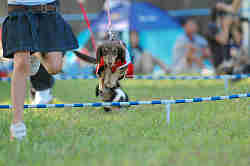 050918_sports_C-1132.jpg