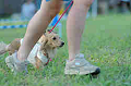 050918_sports_C-1134_thumb.png