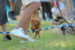 050918_sports_C-1139.jpg
