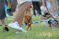 050918_sports_C-1139_thumb.png