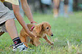 050918_sports_C-1140_thumb.png