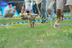 050918_sports_C-1144.jpg