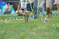 050918_sports_C-1144_thumb.png