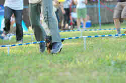050918_sports_C-1146.jpg