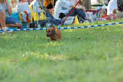 050918_sports_C-1147.jpg