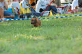 050918_sports_C-1147_thumb.png