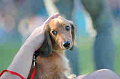 050918_sports_C-1148_thumb.png