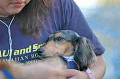 050918_sports_C-1150_thumb.png