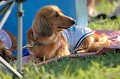 050918_sports_C-1151_thumb.png