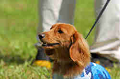 050918_sports_D-1159_thumb.png
