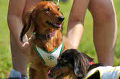 050918_sports_D-1160_thumb.png