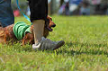 050918_sports_D-1167_thumb.png