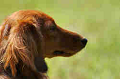 050918_sports_D-1168_thumb.png