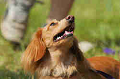 050918_sports_D-1173_thumb.png
