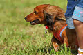 050918_sports_D-1178_thumb.png
