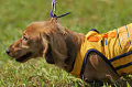 050918_sports_D-1179_thumb.png
