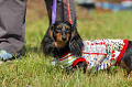 050918_sports_D-1181_thumb.png