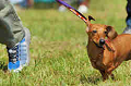 050918_sports_D-1183_thumb.png