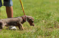 050918_sports_D-1184_thumb.png