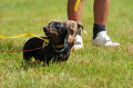 050918_sports_D-1185_thumb.png