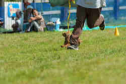 050918_sports_D-1187.jpg
