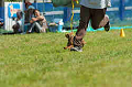 050918_sports_D-1187_thumb.png