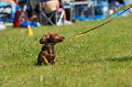 050918_sports_D-1189_thumb.png