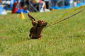 050918_sports_D-1190_thumb.png