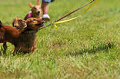 050918_sports_D-1191_thumb.png