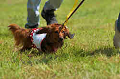 050918_sports_D-1194_thumb.png
