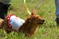 050918_sports_D-1195_thumb.png