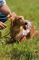 050918_sports_D-1196_thumb.png