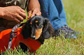 050918_sports_D-1198_thumb.png