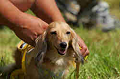 050918_sports_D-1199_thumb.png