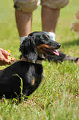 050918_sports_D-1202_thumb.png
