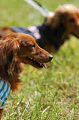 050918_sports_D-1207_thumb.png