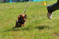 050918_sports_D-1212_thumb.png