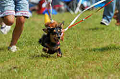 050918_sports_D-1215_thumb.png