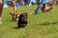 050918_sports_D-1216_thumb.png