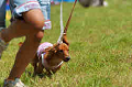 050918_sports_D-1217_thumb.png