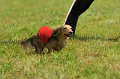 050918_sports_D-1220_thumb.png