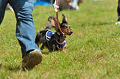 050918_sports_D-1221_thumb.png