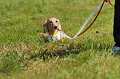 050918_sports_D-1224_thumb.png