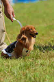 050918_sports_D-1225_thumb.png