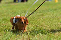 050918_sports_D-1228_thumb.png